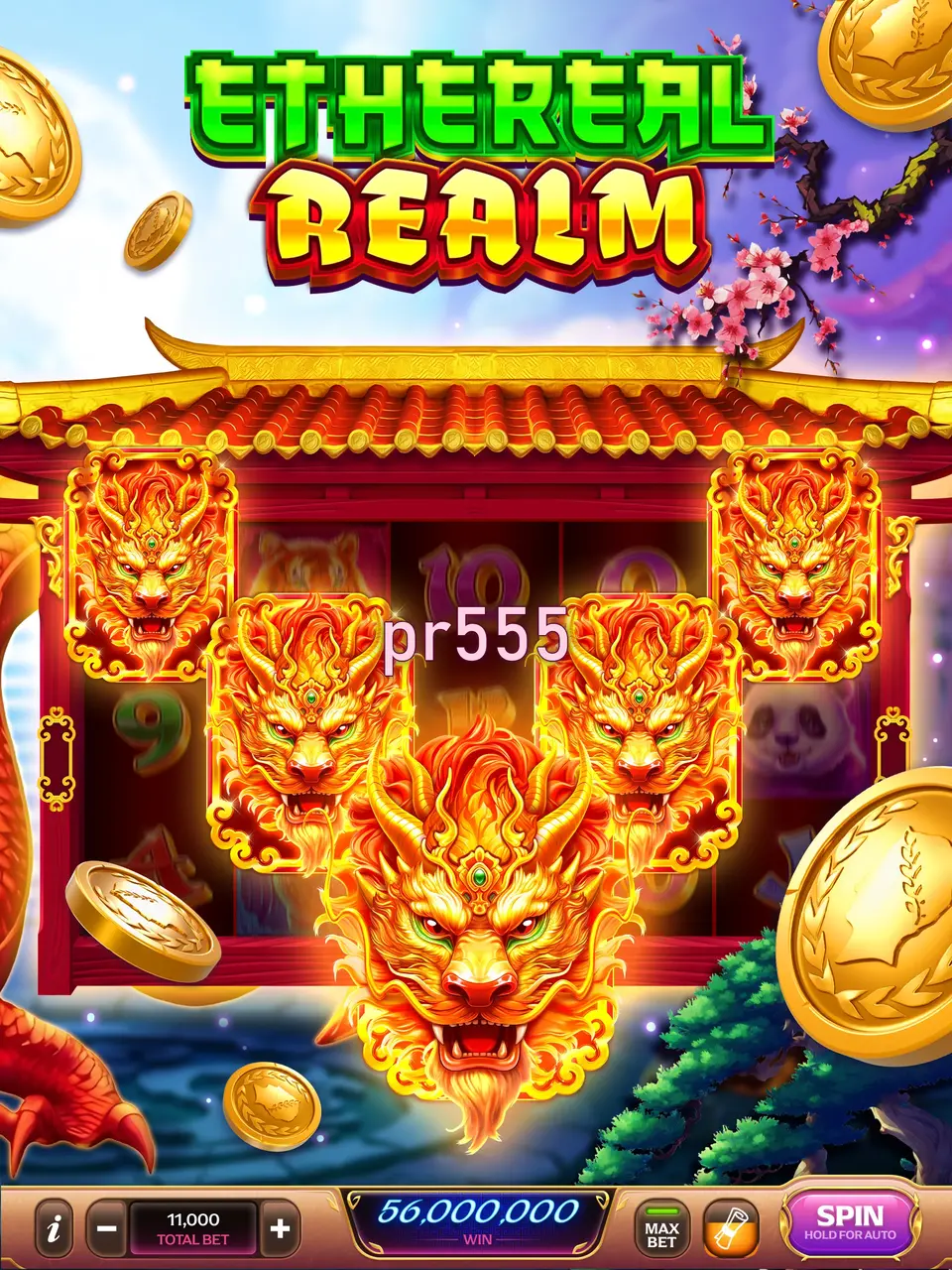 pr555 APK